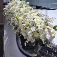 گل آرایی مجالس و ماشین عروس بهترین کیفیت