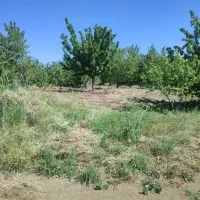 باغ-5500متردر-دانشگاه-آزاد-قزوین