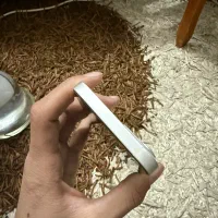 ایفون ۱۳نرمال|موبایل|مشهد, شهرآرا|دیوار