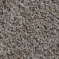 فروش یونجه چین ۲ وجو