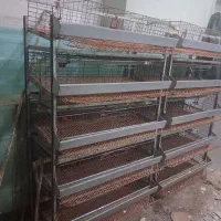 قفس پرورش بلدرچین تخمگذار و گوشتی