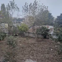 زمین۲۸۵متر سندثبتی تالش ترشابر|فروش زمین و ملک کلنگی|تالش, هشتپر|دیوار