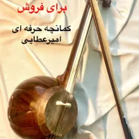 کمانچه حرفه ای داوود امیرعطایی|سازهای سنتی|اصفهان, باغ فردوس|دیوار