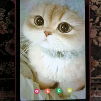 تبلت A8