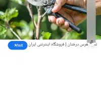 هرس وسرشاخ نمودن درختان