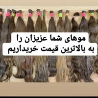 خریدارموی طبیعی صادراتی قیمت عالی برای موهای عالی|خدمات آرایشگری و زیبایی|مراغه, |دیوار