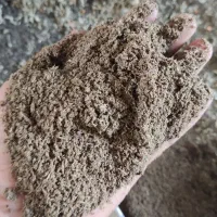 کنجاله کشمش خوراک ارزان برای طیور و گاو، گوسفند