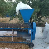 بادام سنگی تازه خشک