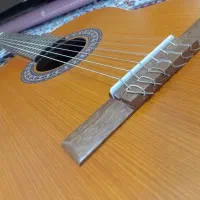 گیتار پارسی m5 سالم و نو|گیتار، بیس، امپلیفایر|کرمانشاه, |دیوار