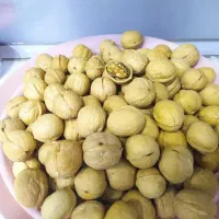 گردو وارداتی کاغذی  عمده
