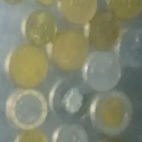 سکه قدیمی|کلکسیون سکه، تمبر، اسکناس|گوراب زرمیخ, |دیوار