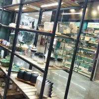 فروش قفسه
