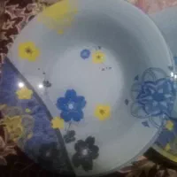 فروش بشقاب|ظروف سرو و پذیرایی|ساری, |دیوار