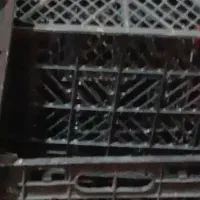 سبد جا میوه