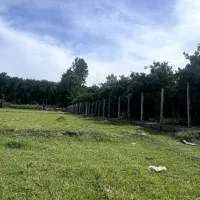 پلاک های ۱۵۰متری وبه بالا داخل بافت سندتکبرگ/شمال|فروش زمین و ملک کلنگی|تهران, تهرانپارس شرقی|دیوار