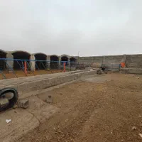 گاوداری دامداری