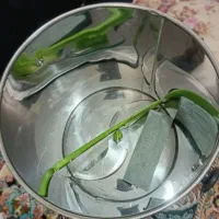 سبزی خوردکن|خردکن، آسیاب، غذاساز|سبزوار, هویزه|دیوار