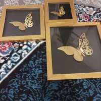 دوعدد قاب عکس