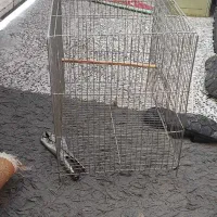 قفس درحدنو مناسب برای تمامی پرنده ها قیمت۲۴۰|لوازم جانبی حیوانات|دوگنبدان, |دیوار