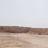 فروش ۱ هکتا۵۰۰متر مرغ داری ز جاده اهواز و حمیدیه|فروش دفتر صنعتی، کشاورزی، تجاری|اهواز, کمپلو جنوبی|دیوار