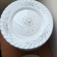 ظروف برنج  ودیس پلو