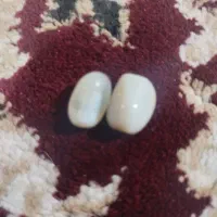 مهره برداصل