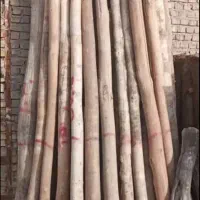 انواعچوبچناروضایعاتخریدارم|عمدهفروشی|ماهیدشت, |دیوار