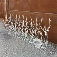 حفاظ شاخ گوزنی|خدمات پیشه و مهارت|چابهار, |دیوار