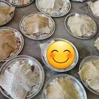 اشپزی مراسمات.*حیاتی*|خدمات پذیرایی، مراسم|کوهدشت, |دیوار