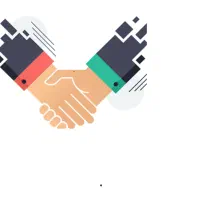 بیخص کار مرغ