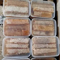 فروش عسل عسل درجه یک