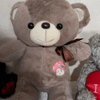 عروسک تدی|اسباب‌‌بازی|اصفهان, خواجو|دیوار