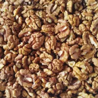 مغز گردو ایرانی وخارجی