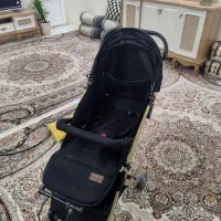 کالسکه برند ریچکیدز