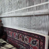 فرش دست بافت ۶ متری