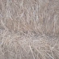 پرس گندم|لوازم جانبی حیوانات|هلالی, |دیوار