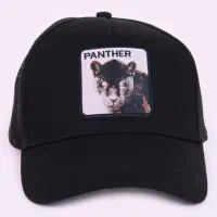 کلاه بیسبالی Defacto|لباس|تهران, تهرانپارس غربی|دیوار