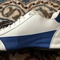 کفش خارجی|کیف، کفش، کمربند|بندر ترکمن, |دیوار