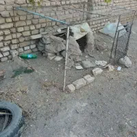 طورفروشی بامشتری واقعی کنارمیام