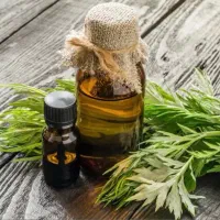 روغن ماساژ رلکسسینگ