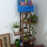 استند گل و گلدان
