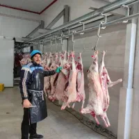 سلاخی و قصابی سیار