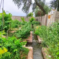 فروش باغ ویلا