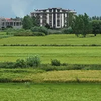 1250مترشهرک-ناز