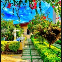 *700میلیون زیرقیمت*باغ جنگلی کوهستانی/پردرخت میوه