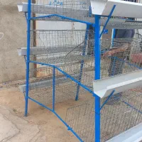 خرید فروش قفس مرغ تخمگذار گوشتی|لوازم جانبی حیوانات|آوج, |دیوار