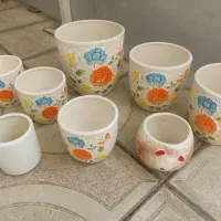 انواع گلدان متنوع و گل اپارتمانی