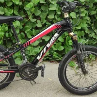 دوچرخه ویوا حرفه‌ای|دوچرخه، اسکیت، اسکوتر|خورموج, |دیوار