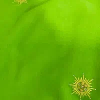 چادری بندری|لباس|بندرعباس, |دیوار