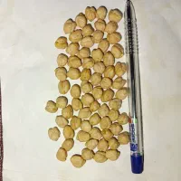 نخود|خوردنی و آشامیدنی|کرمانشاه, |دیوار